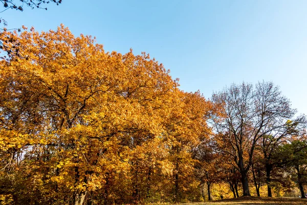 Gorgeous Autumn Beautiful Historical Park — Stock Photo, Image