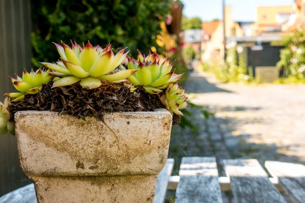 Schöne Dänische Architektur Einem Malerischen Dorf — Stockfoto