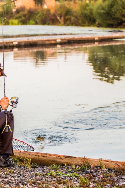 天然のマス釣りの背景 — ストック写真
