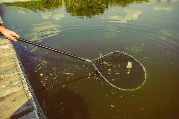 Pesca Alla Trota Sul Lago — Foto Stock