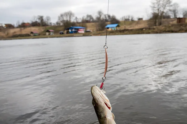 Fishing Lake Fishing Background — Stock Photo, Image