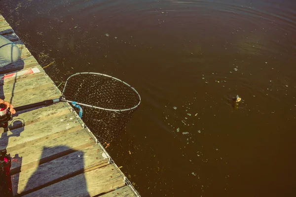 Forel Vissen Het Meer — Stockfoto