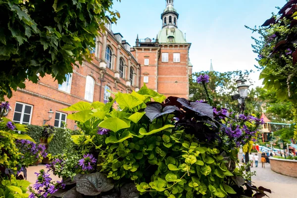 Kopenhaga Dania Lipca 2019 Piękny Zielony Park Kopenhadze — Zdjęcie stockowe