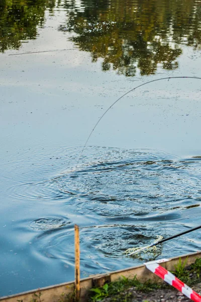 Pesca Alla Trota Naturale Fondo — Foto Stock