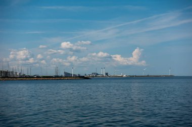 Balık yosunlarının güzel sualtı dünyası