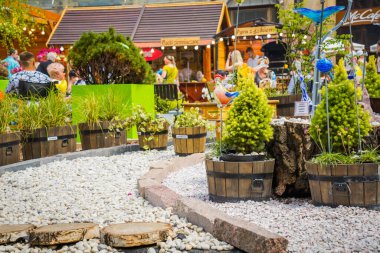 Wrocaw, Polonya - 15 Haziran 2019. Wroclaw 'ın güzel, resimsi merkezi