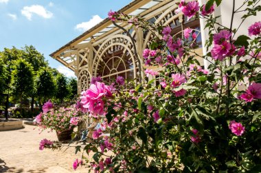 Kopenhag, Danimarka - 21 Temmuz 2019. Kopenhag 'daki güzel park ve bahçe. Çekim