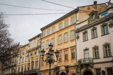 Muhteşem kış Lviv mimarisi ve sokakları