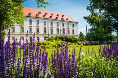 Wrocaw, Polonya - 15 Haziran 2019. Wroclaw 'ın güzel kiliseleri. 