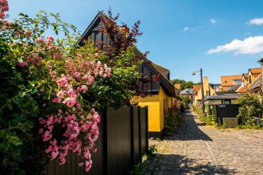 Resimli bir köyde güzel bir Danimarka mimarisi