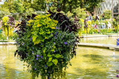Kopenhag, Danimarka - 21 Temmuz 2019. Kopenhag 'daki güzel park ve bahçe. Çekim