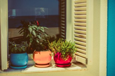 tencere ile güzel pencere