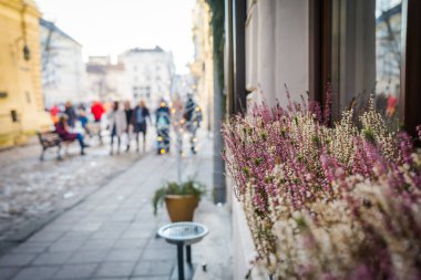 Lviv, Ukrayna - 23 Ocak 2019. Muhteşem kış Lviv mimarisi ve sokakları