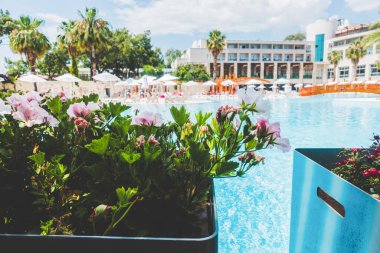 Güzel tatil beldesi. Yeşil ve çiçekler