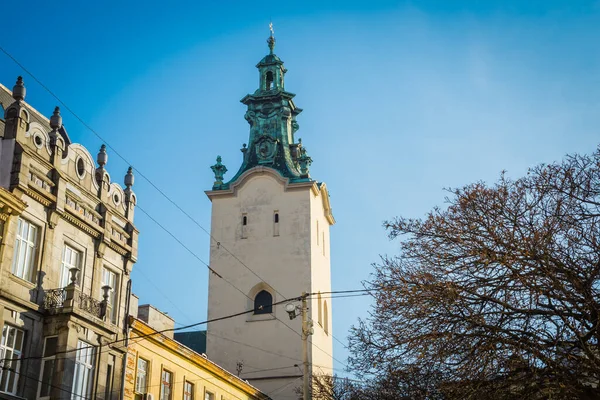 Lviv Ukraina Januari 2019 Magnifik Vinter Lviv Arkitektur Och Gator — Stockfoto