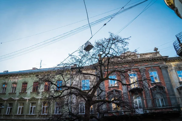 Lviv Ucrania Enero 2019 Magnífico Invierno Lviv Arquitectura Calles — Foto de Stock