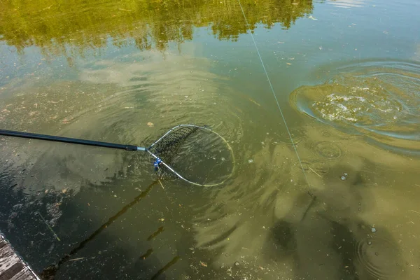 Pesca Alla Trota Naturale Fondo — Foto Stock