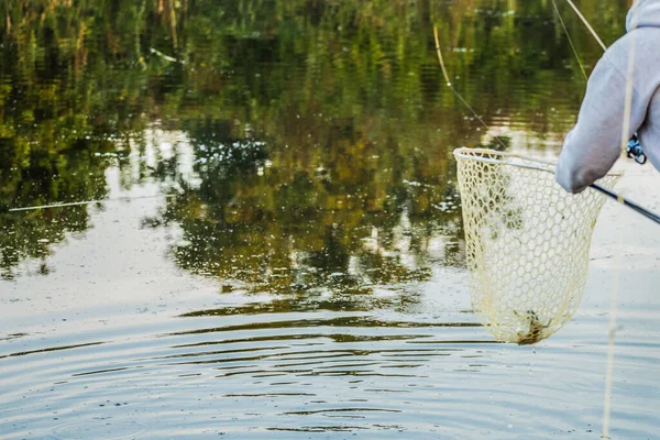 Naturlig Öring Fiske Bakgrund — Stockfoto