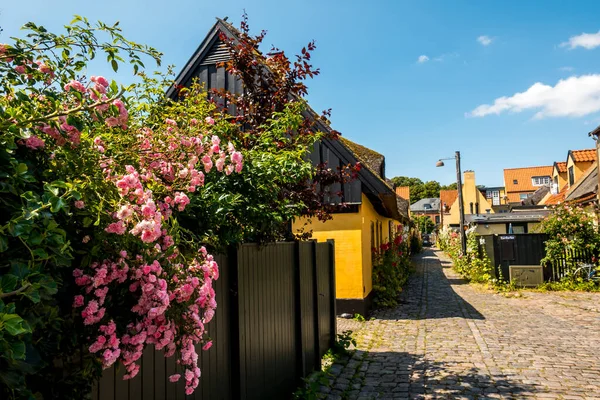 Vacker Dansk Arkitektur Pittoresk — Stockfoto