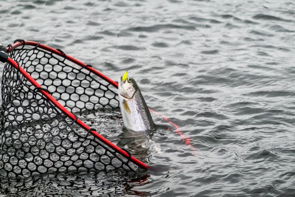 Gölde Balık Tutmak Balıklama Arkaplanı — Stok fotoğraf