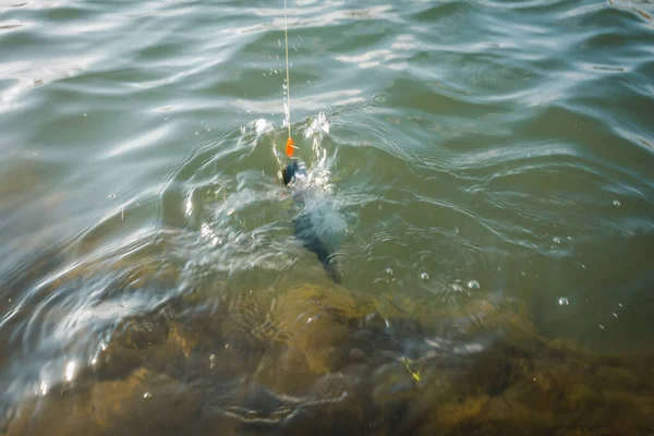 Pêche Truite Sur Lac Pêche Sportive Activités Plein Air — Photo