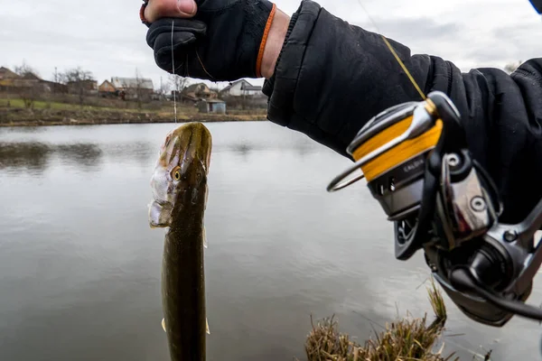 Pesca Sul Lago Fondo Pesca — Foto Stock