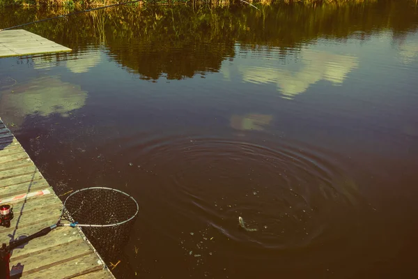 Pesca Alla Trota Sul Lago — Foto Stock