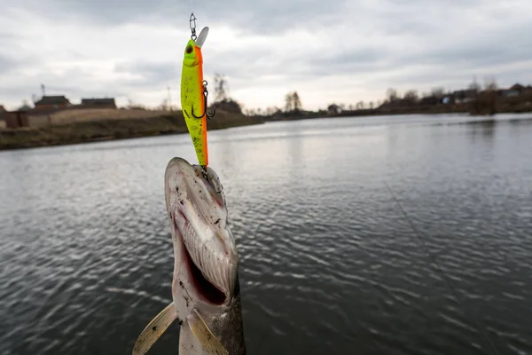 Fiska Sjön Fiskeribakgrund — Stockfoto