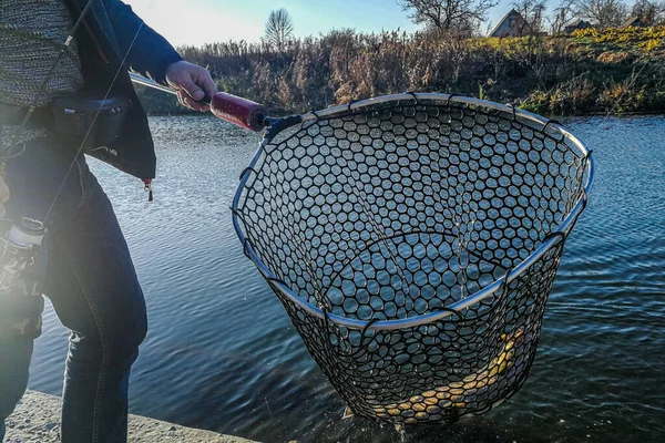 Pesca Del Luccio Sul Lago Attività Ricreative Pesca — Foto Stock