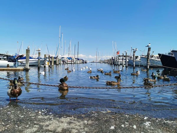 Stora Danmark Köpenhamn Och Havet — Stockfoto