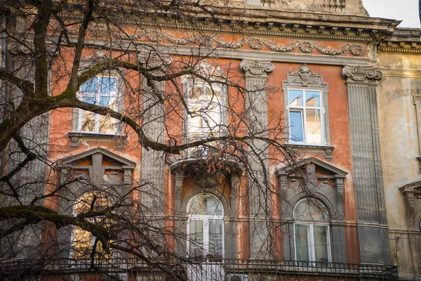 Muhteşem Kış Lviv Mimarisi Sokakları — Stok fotoğraf