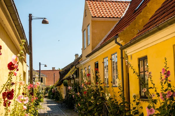 Kopenhag Danimarka Temmuz 2019 Resimli Bir Köydeki Güzel Danimarka Mimarisi — Stok fotoğraf