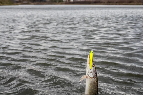 Fishing on the lake. Fishing background.