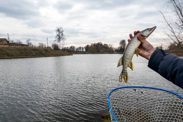 Fiska Sjön Fiskeribakgrund — Stockfoto