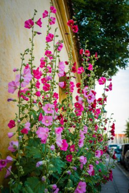 Kopenhag, Danimarka - 18 Temmuz 2019. Kopenhag 'ın muhteşem mimarisi