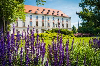 Wrocaw, Polonya - 15 Haziran 2019. Wroclaw 'ın güzel kiliseleri. 