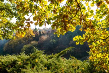 Güzel bir tarihi parkta muhteşem bir sonbahar.