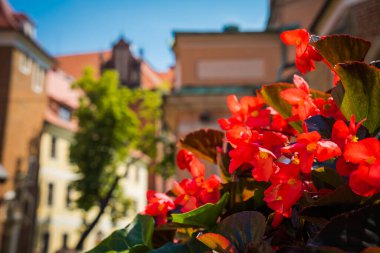 Wrocaw, Polonya - 17 Haziran 2019. Eski Polonya şehrinin mimarisi.