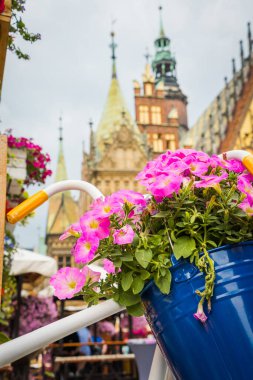 Wrocaw, Polonya - 15 Haziran 2019. Wroclaw 'daki güzel pazar meydanı, güzel eski evler.