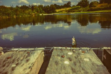 Gölde balık tutmak.