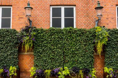 Kopenhag, Danimarka - 21 Temmuz 2019. Kopenhag 'daki güzel yeşil park