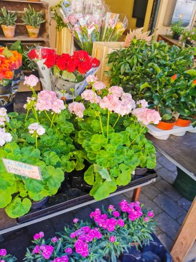 Danimarka 'nın güzel deniz köyü