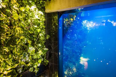 İç kısımda taze çiçekler var.