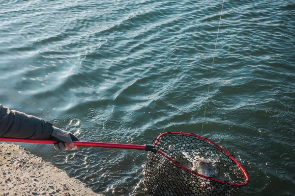 Pesca Pesca Sul Lago — Foto Stock