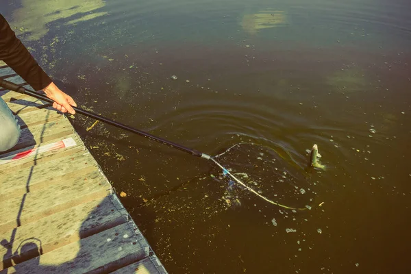 Pesca Truta Lago — Fotografia de Stock