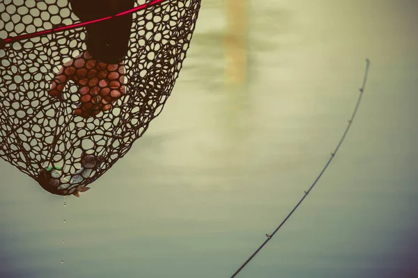 Pesca Alla Trota Naturale Fondo — Foto Stock