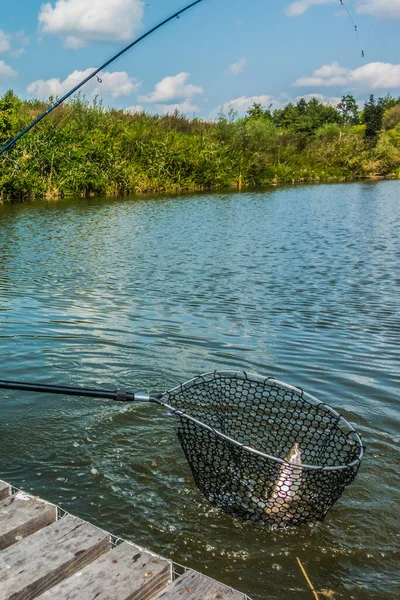 Pesca Alla Trota Naturale Fondo — Foto Stock