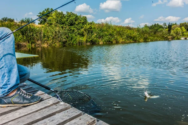 Fiske Sjön Bakgrunden — Stockfoto