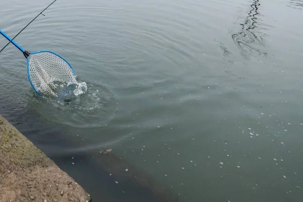 호수에서 송어를 낚시와 활동을 즐기는 — 스톡 사진