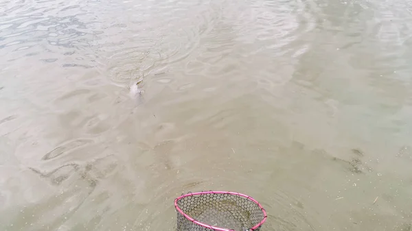 Pesca Lago Naturaleza Recreación Fondo — Foto de Stock